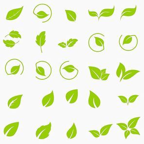 Vector collection with green leaves in flat style for icons and graphic design