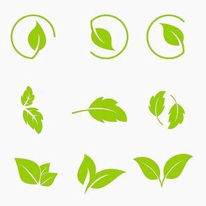 Vector collection with green leaves in flat style for icons and graphic design