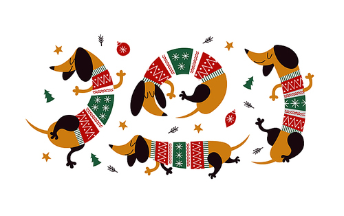 A set of funny Dachshund dogs dressed in knitted sweaters. Cute Christmas vector illustration.