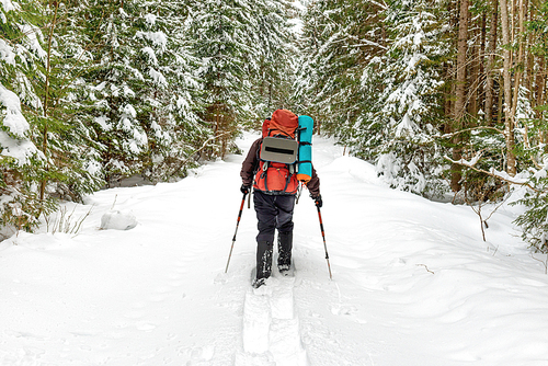 Man with backpack going in deep snow to winter forest