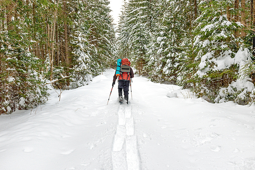 Man with backpack going in deep snow to winter forest