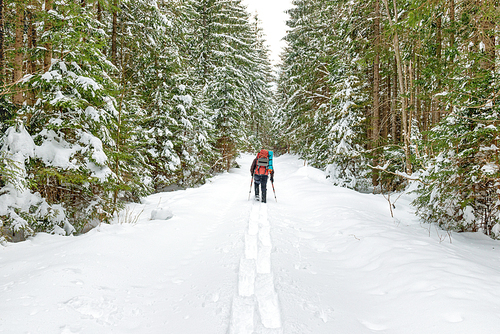 Man with backpack going in deep snow to winter forest