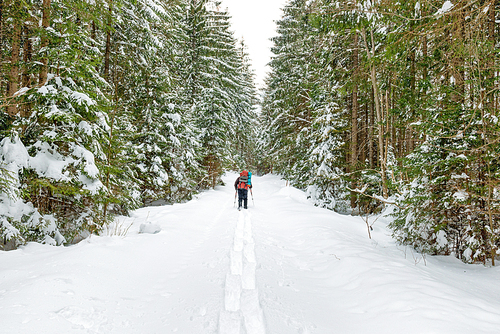 Man with backpack going in deep snow to winter forest