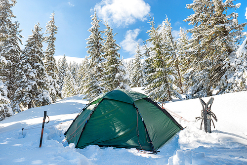 Green tent in snow mountains and winter forest with pine trees