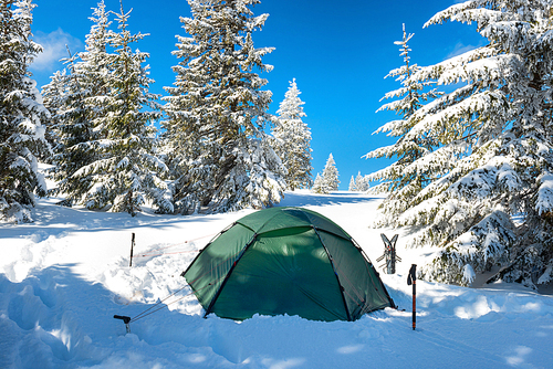 Green tent in snow mountains and winter forest with pine trees