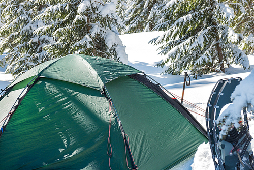 Green tent in snow mountains and winter forest with pine trees