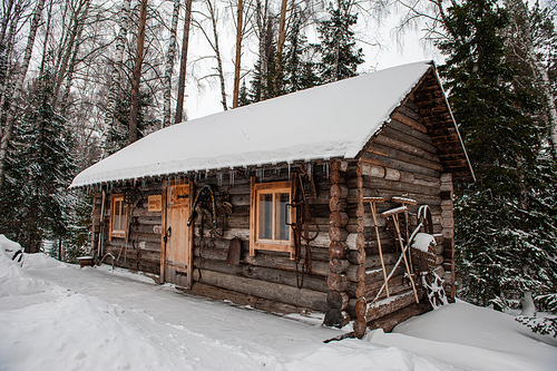 Antique wooden barn house in winter forest. Retro building of the early 19th century.