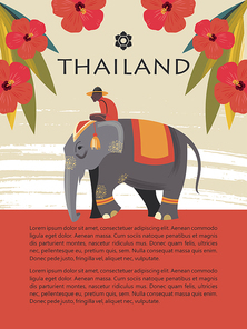 Thailand. Tour on the elephant. Rider on an elephant among the red flowers. Vector illustration. Template for travel website, travel guide.