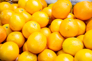 Citrus fruits at the market display stall