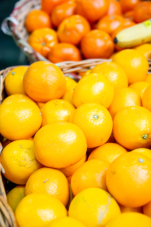 Citrus fruits at the market display stall