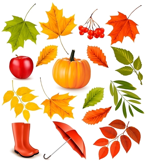 Set of colorful autumn leaves and objects. Vector illustration.