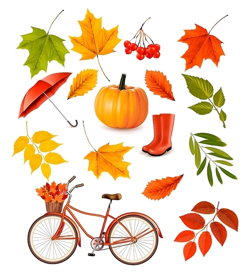 Set of colorful autumn leaves and objects. Vector illustration.