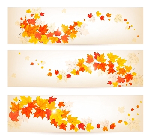 Three autumn banners with colorful leaves Vector