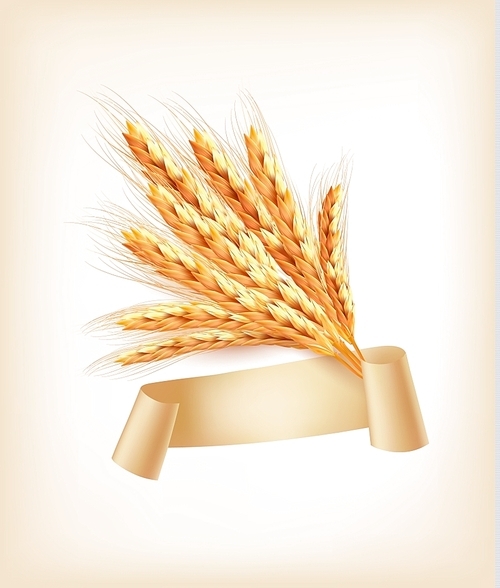 Ears of wheat. Vector illustration.