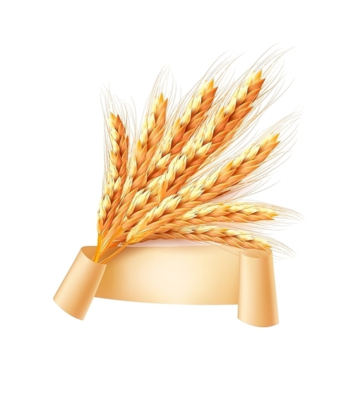 Ears of wheat. Vector illustration.