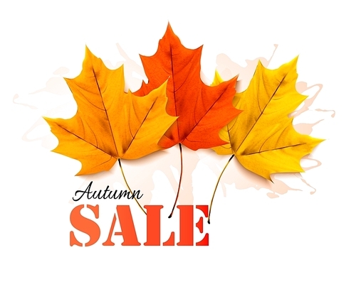 autumn s banner with colorful leaves. vector.