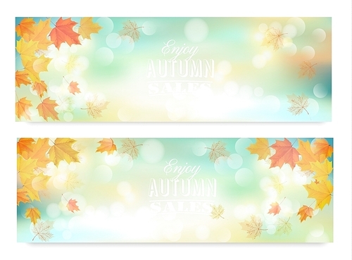 Enjoy autumn sales banners with colorful leaves. Vector.