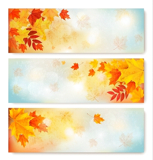 Three abstract autumn banners with color leaves.