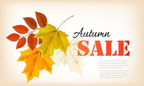 Autumn sales banner. Vector.