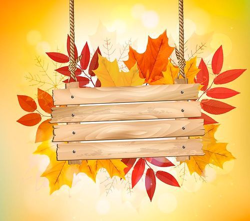 Autumn background with leaves. and wooden sign. Vector.