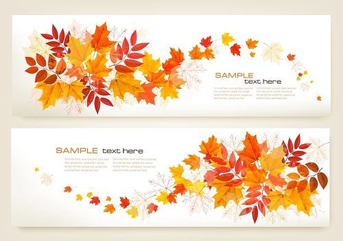 Two abstract autumn banners with colorful leaves Vector