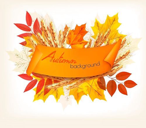 Nature Autumn Background With Colorful Leaves and Wheat. Vector.