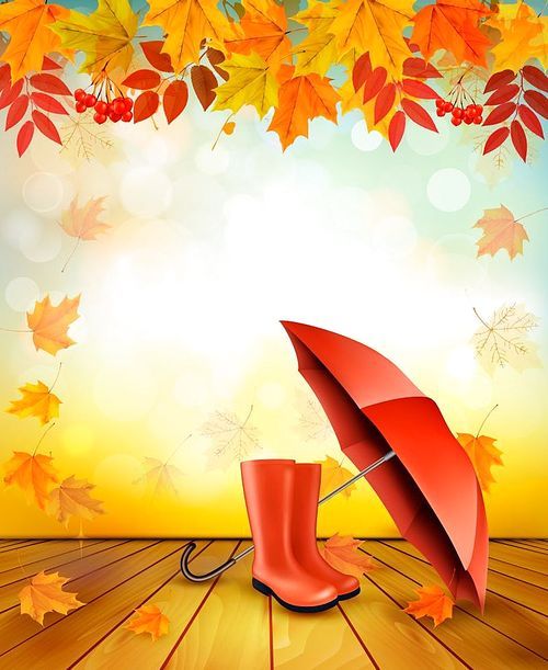 Nature autumn background with colorful leaves and an umbrella. Vector.