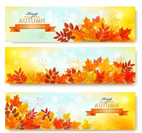 Set of three nature banners with colorful autumn leaves. vector