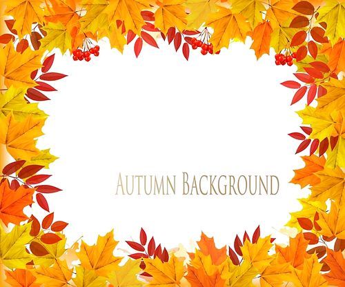 Fall Autumn Colorful Leaves Background. Vector.