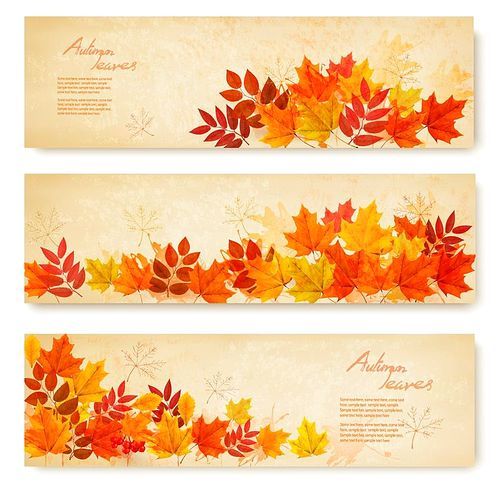 Set of three nature banners with colorful autumn leaves. vector