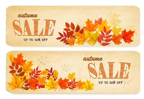 Set of two autumn sale banners with colorful leaves and berries. Vector