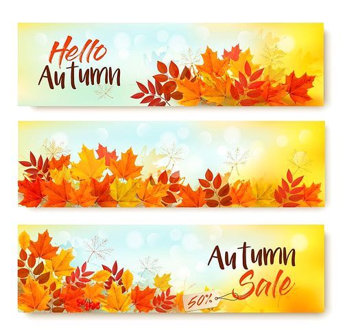 Three Autumn Sale Banners With Colorful Leaves. Layered Vector