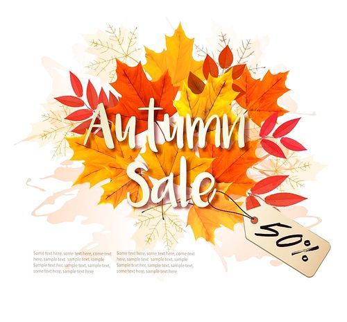 Autumn Sale Card With Colorful Leaves. Vector.