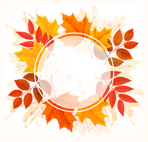 Fall Autumn Colorful Leaves Background. Vector.