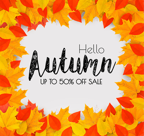 Autumn Sales Frame With Colorful Leaves. Vector.