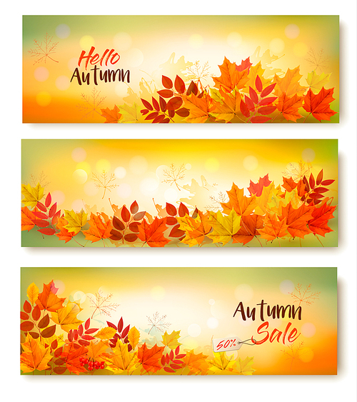 Three Autumn Sale Banners With Colorful Leaves. Layered Vector