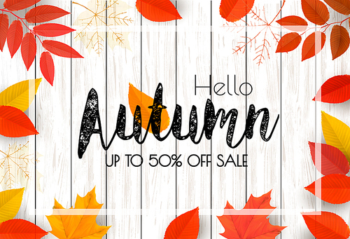 Autumn Background With Colorful Leaves For Shopping Sale. Vector