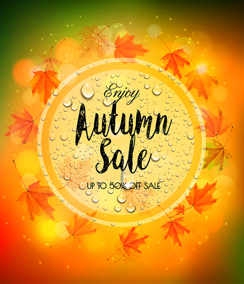 Enjoy Autumn Sale background with autumn leaves and raindrops. Vector.