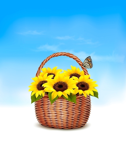 Spring background. Basket full of sunflowers and a butterfly. Vector.