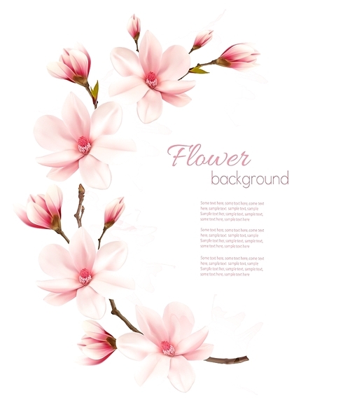 Spring background with blossom brunch of pink flowers. Vector