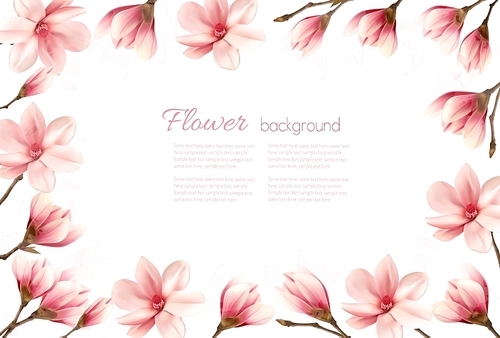 Flower background with a border of pink magnolia blossoms. Vector.