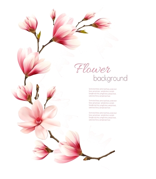 Nature background with blossom brunch of pink flowers. Vector
