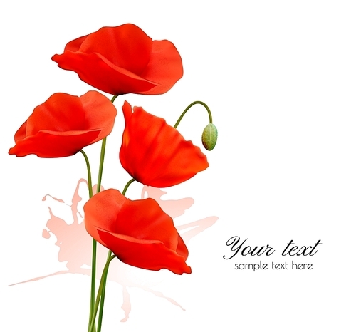 Nature summer background with red poppies. Vector.