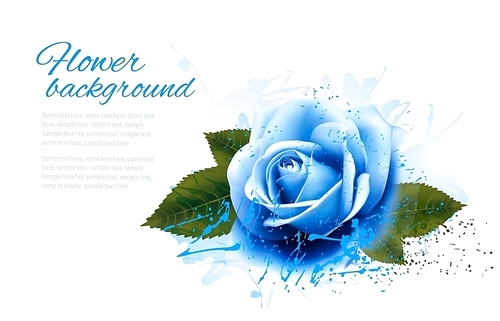 Greeting card with blue rose. Vector