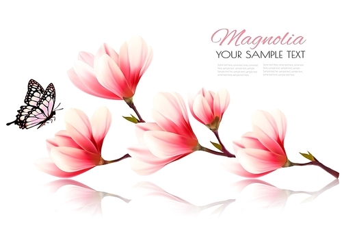 Beautiful pink magnolia background with butterfly. Vector.