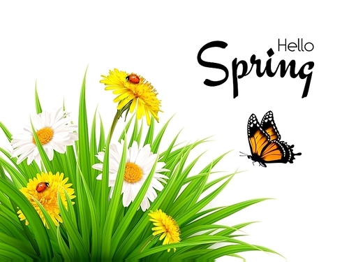 Nature spring background with grass, flowers and butterflies. Vector.