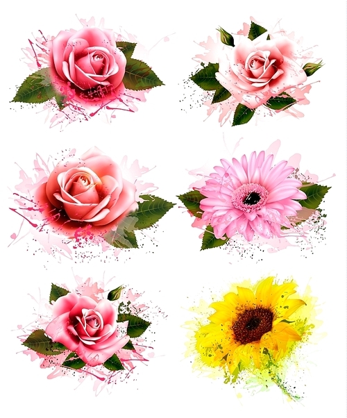 Set of greeting cards with defferent flowers. Vector