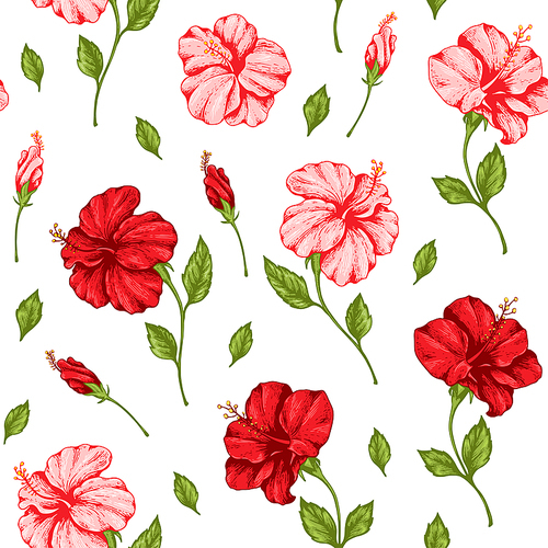 Tropical seamless pattern with pink and red hibiscus flowers. Hand drawn vintage vector background.