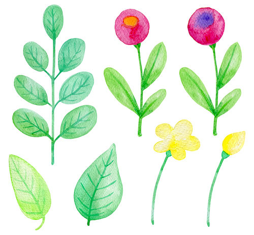 Set of watercolor flowers and leaves on a white background. Hand drawn botanical design elements. Vector illustration