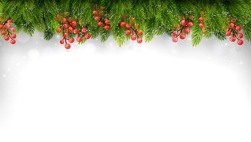 Holiday background with christmas tree branches. Vector.